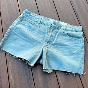 Sage Olive Green Jean Shorts